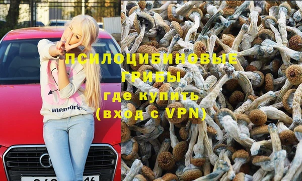 а пвп мука Инсар