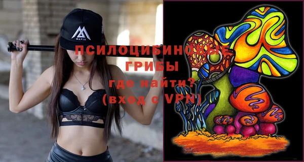 МДПВ Иннополис