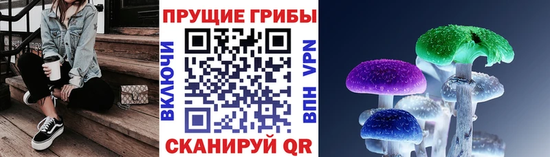 Псилоцибиновые грибы прущие грибы  Суджа 